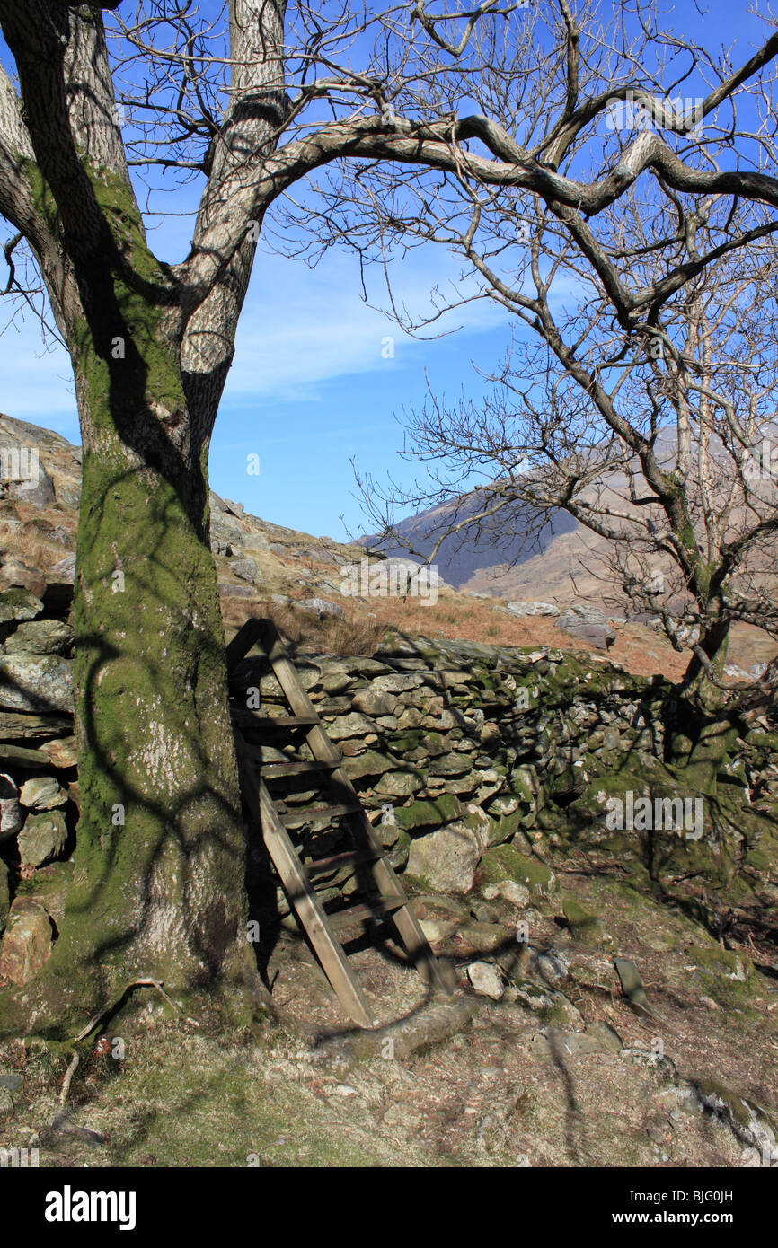 Tree and step-stile in the LLanberis Pass near Gwastadnant, Nant Peris, Gwynedd, north Wales, Great Britain, United Kingdom, UK Stock Photo