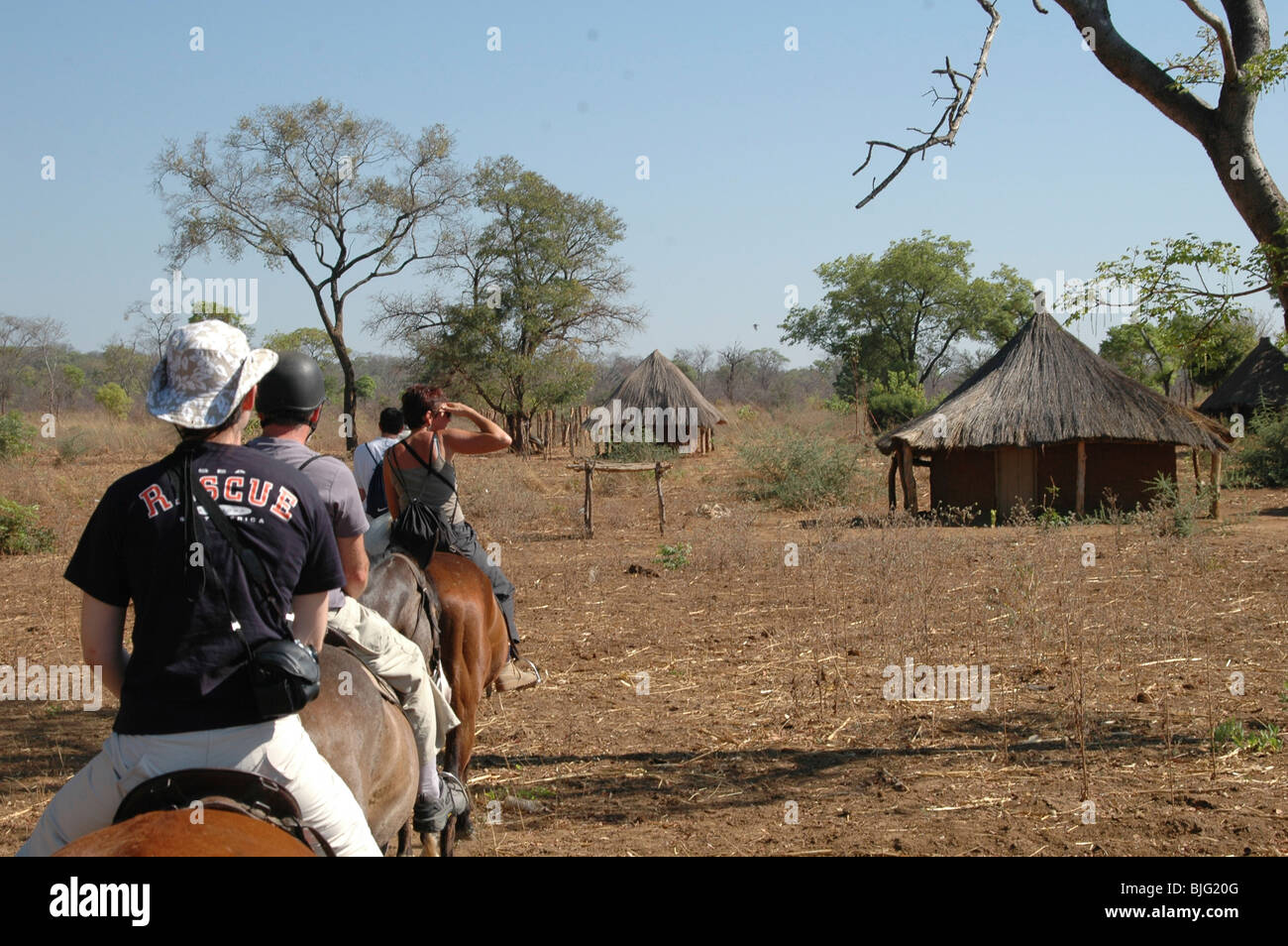 Horse riding Safari. Livingstone, Zambia, Africa © Demelza Cloke Stock