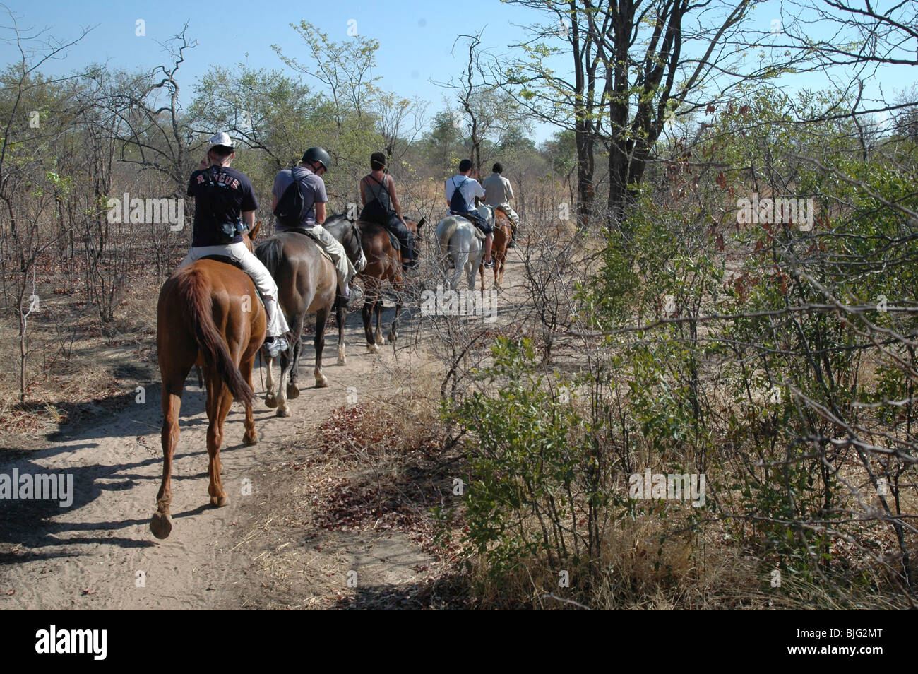 Horse riding Safari. Livingstone, Zambia, Africa © Demelza Cloke Stock