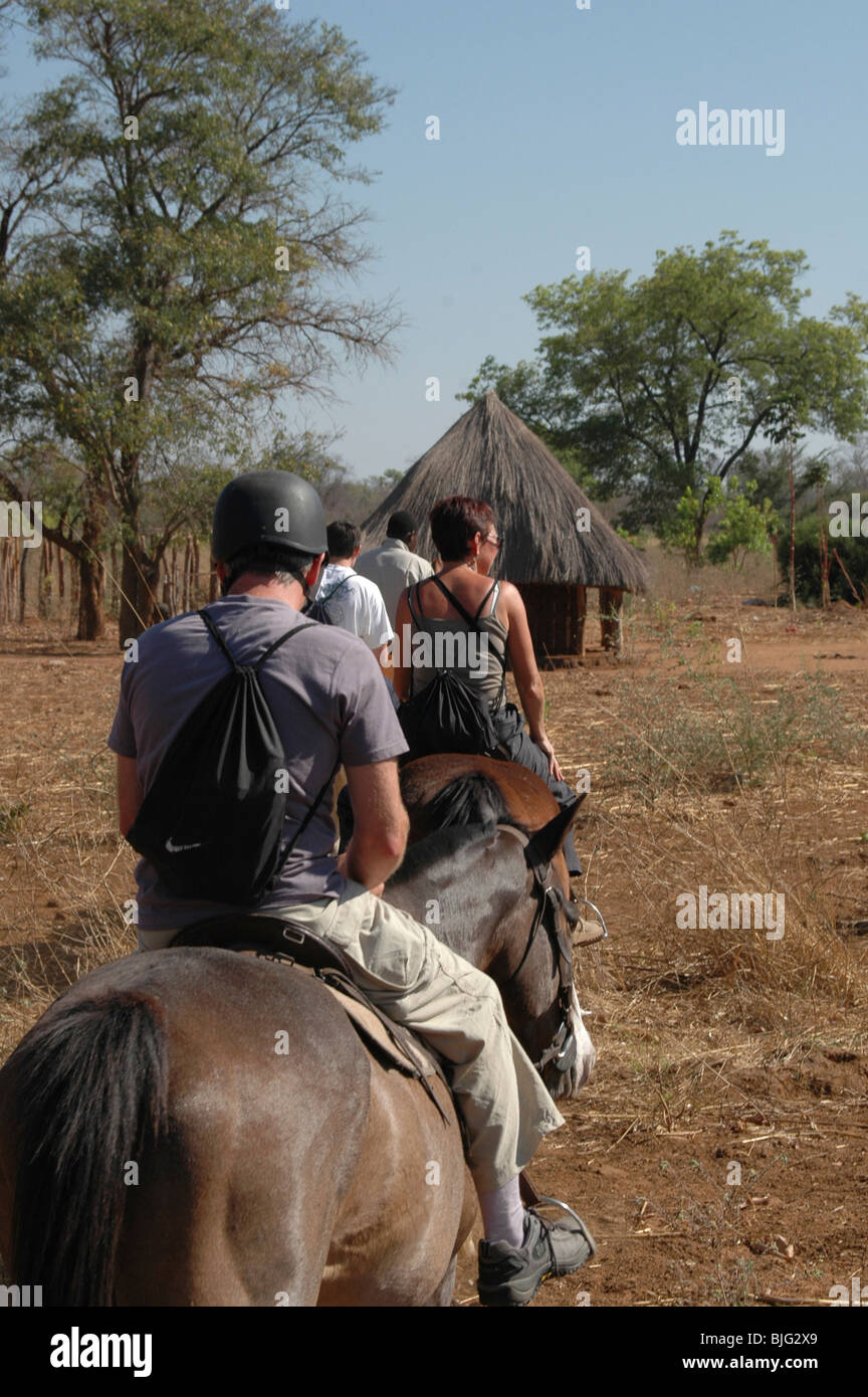 Horse riding Safari. Livingstone, Zambia, Africa © Demelza Cloke Stock