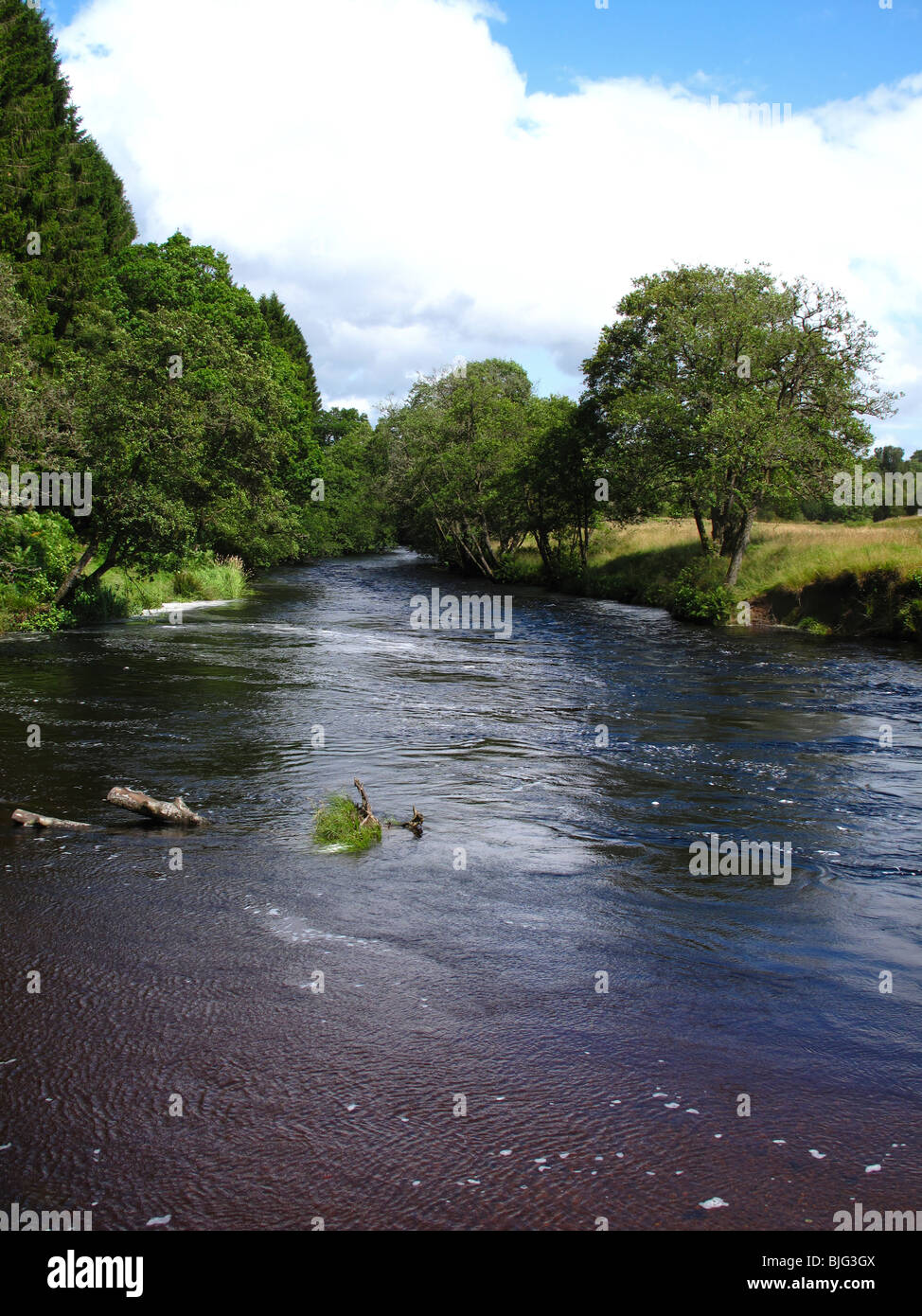 Upper reaches River Forth Aberfoyle Scotland Stock Photo