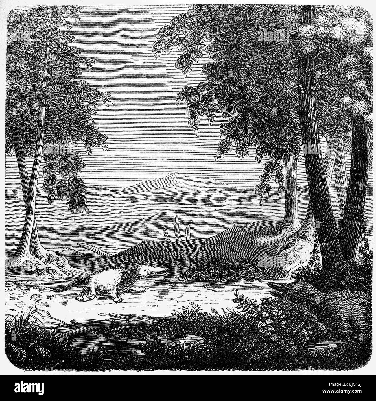 prehistory, animals, Labyrinthodontia in a Mesozoic Era landscape, illustration, wood engraving, circa 1870, Stock Photo