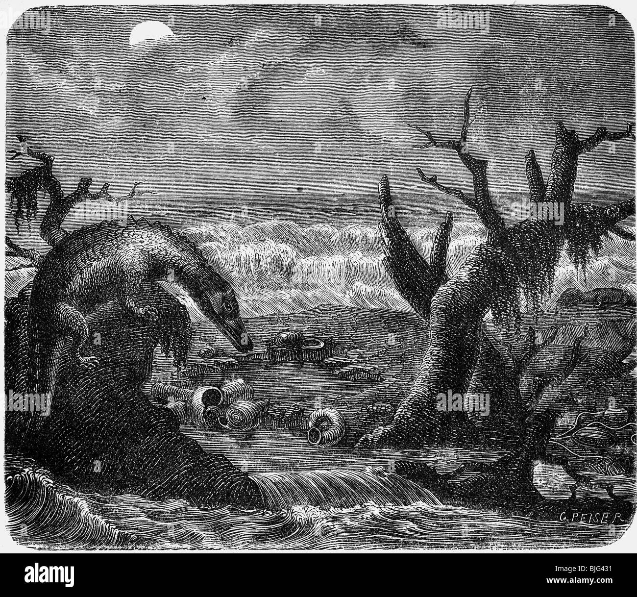 prehistory, animals, Nothosaur in a Triassic beach landscape, illustration, wood engraving, circa 1870, Stock Photo