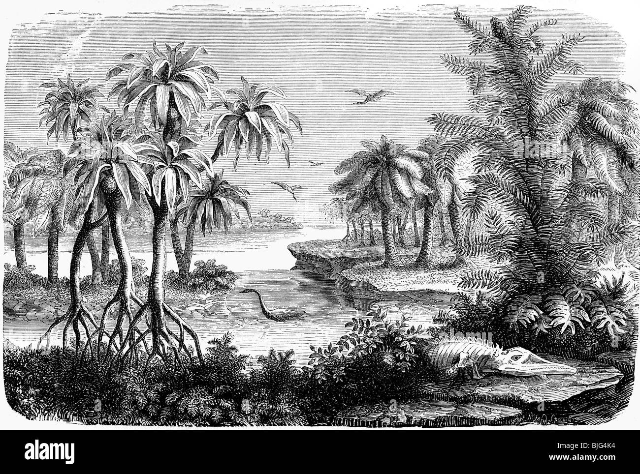 prehistory, prehistoric landscape, Jurassic period, illustration, wood engraving, circa 1870, Stock Photo