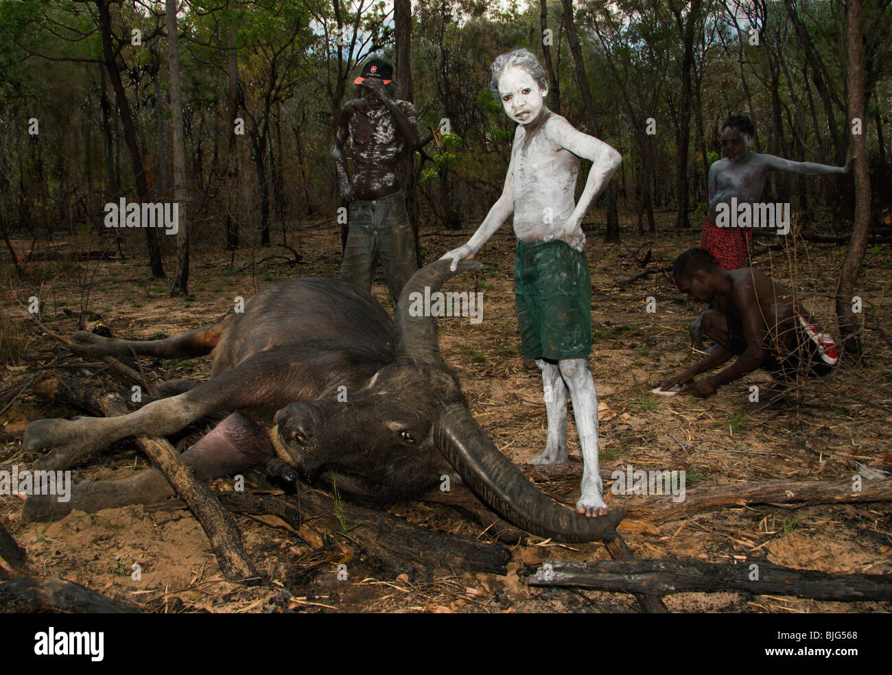 Aboriginal boy painted with white clay stands beside their prize meat Stock  Photo - Alamy