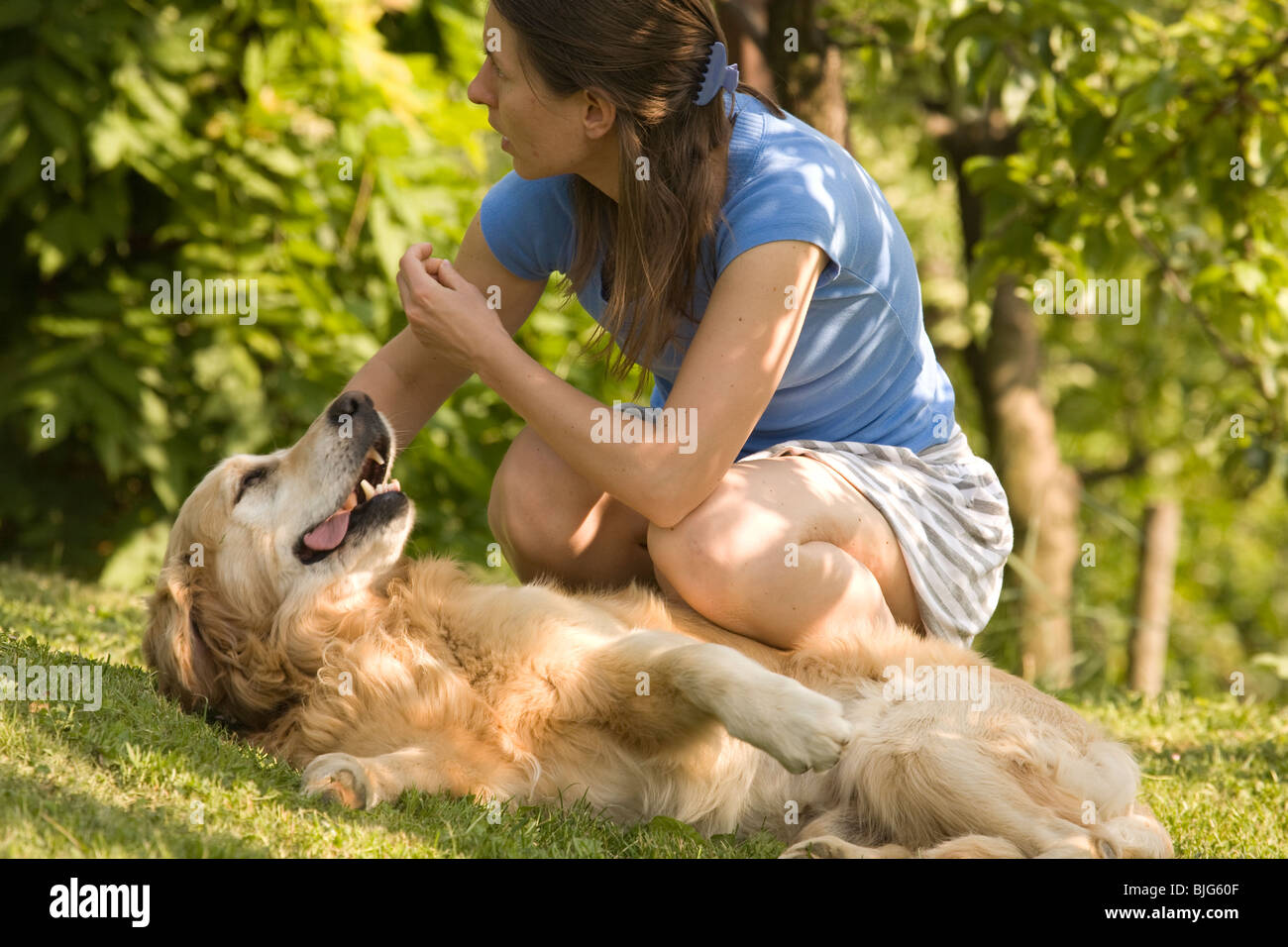 Girl playing with golden Retriever in garden , Slovenia Stock Photo - Alamy