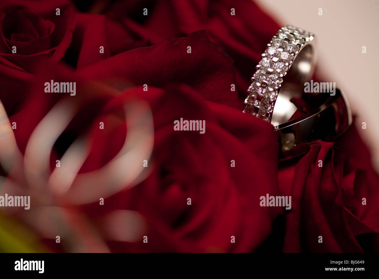 Red Roses With 2 Rings Two silver wedding rings in red roses Stock Photo - Alamy