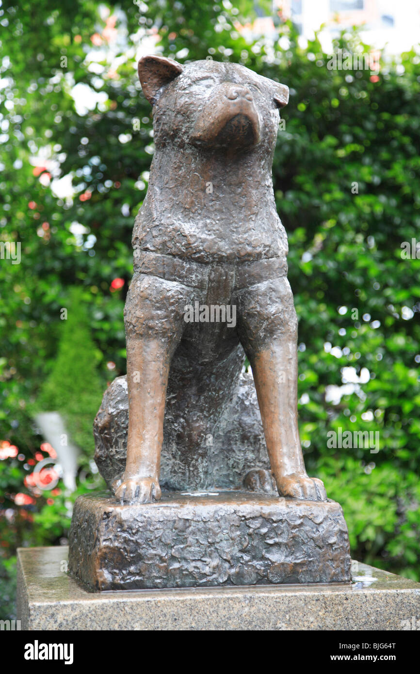 Hachiko Statue, popular meeting place, Shibuya, Tokyo, Asia Stock Photo - Alamy