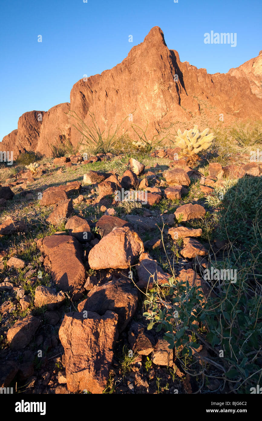 Volcanic rhyolite, KOFA Wildlife Refuge, Arizona Stock Photo
