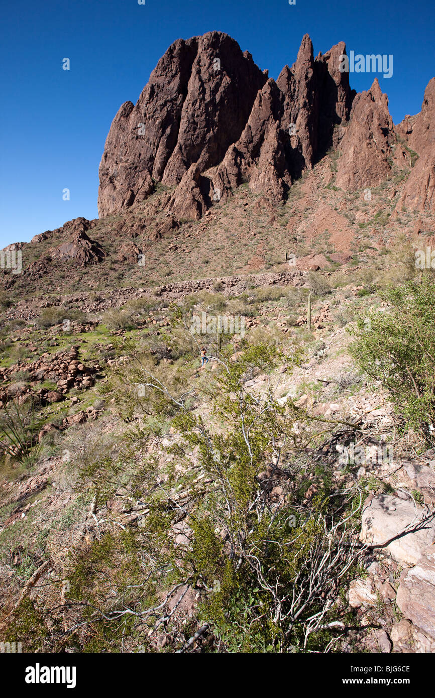 Volcanic rhyolite, KOFA Wildlife Refuge, Arizona Stock Photo