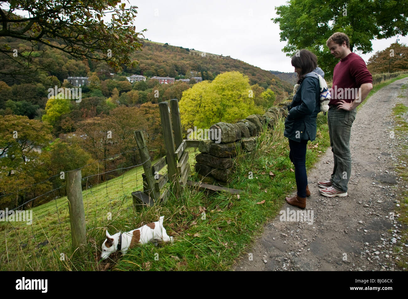 A young couple walk their dog on the hillsides above Hebden Bridge, Yorkshire, England. Stock Photo