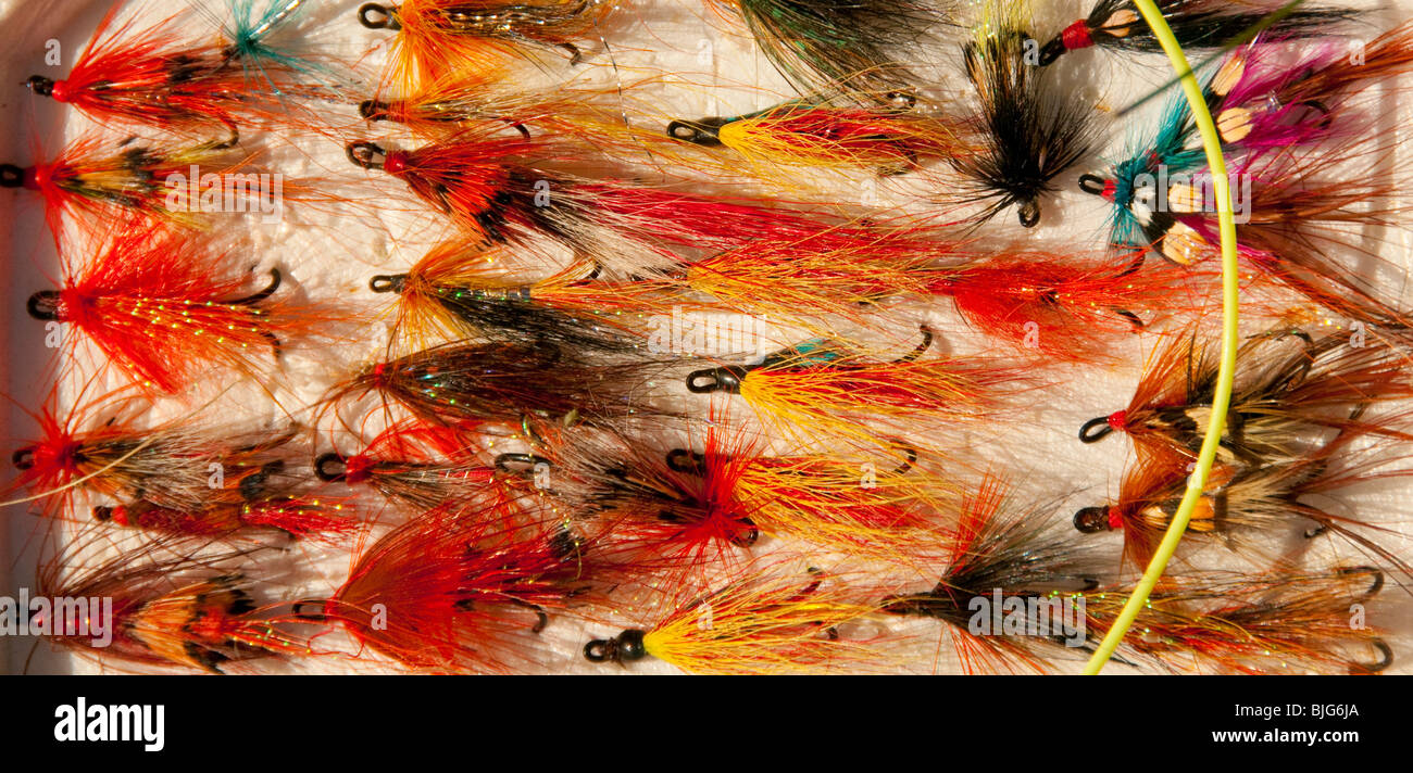 NEW BRUNSWICK, Colorful Fly Fishing box of Atlantic Salmon flys. Miramichi River. Stock Photo