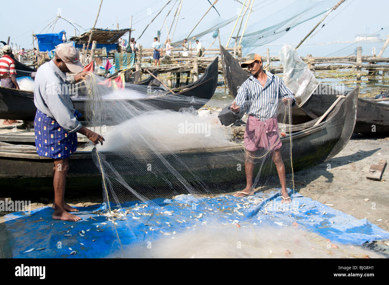 Kerala backwater fish hi-res stock photography and images - Alamy