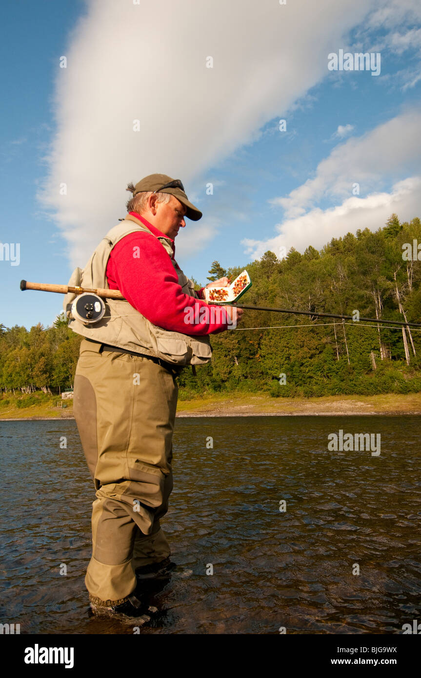 NEW BRUNSWICK, Mirimachi River Fly fishing guide selecting a fly for Atlantic Salmon. Stock Photo