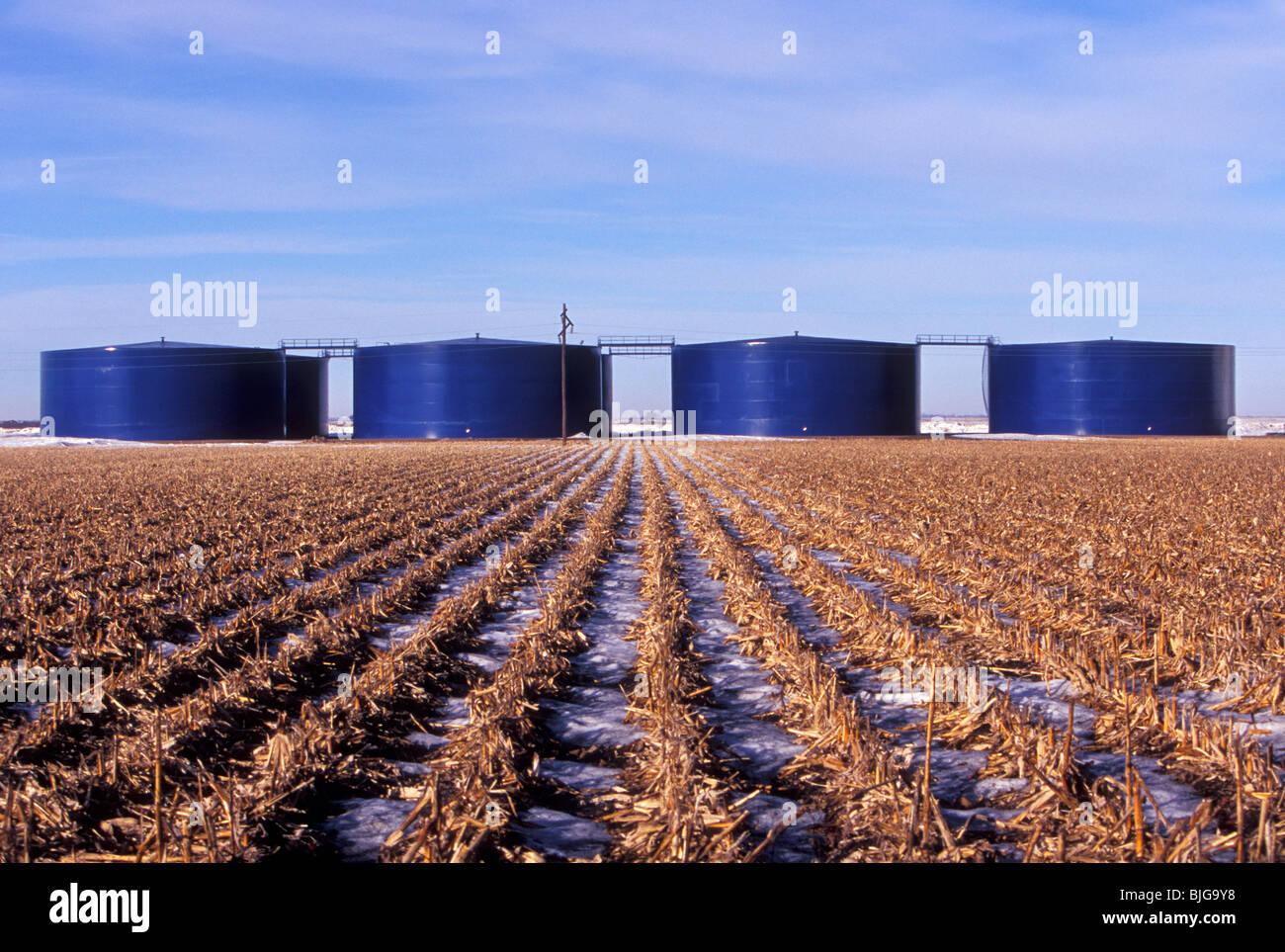 Ethanol storage tanks behind a row of harvested corn in Hastings, Nebraska, USA. Shot on Velvia film. Stock Photo