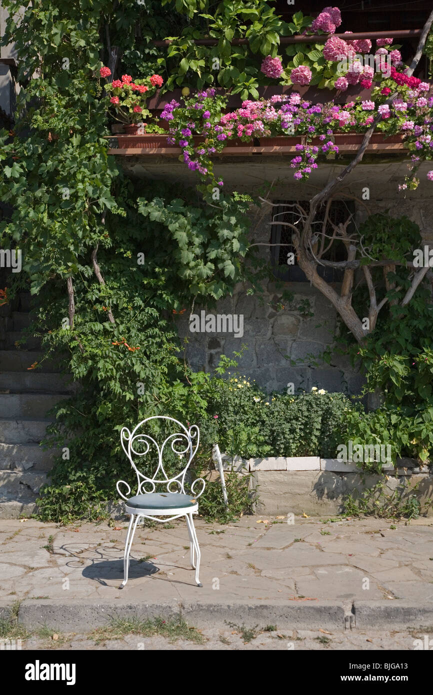 Native flowers and single chair in Sozopol Bulgaria Stock Photo