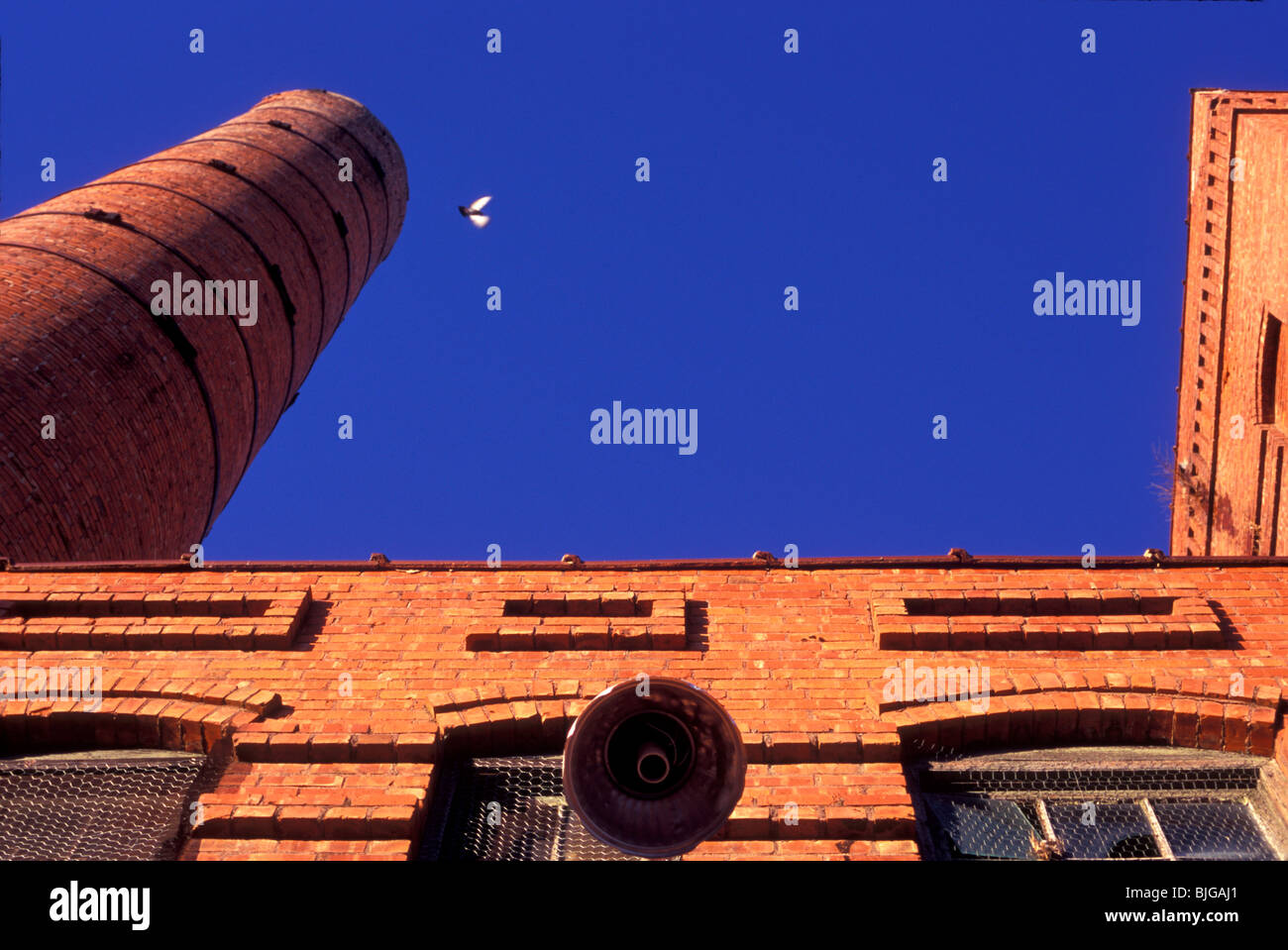 A bird takes off from an abandoned smokestack. Stock Photo