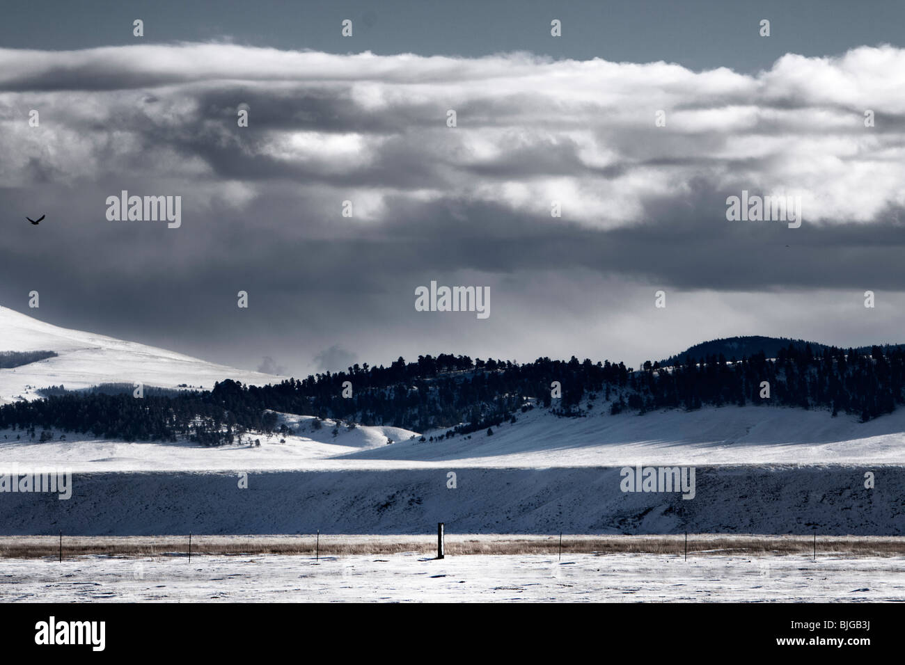 Snow and clouds in Elevenmile State Park, Colorado, USA. Stock Photo