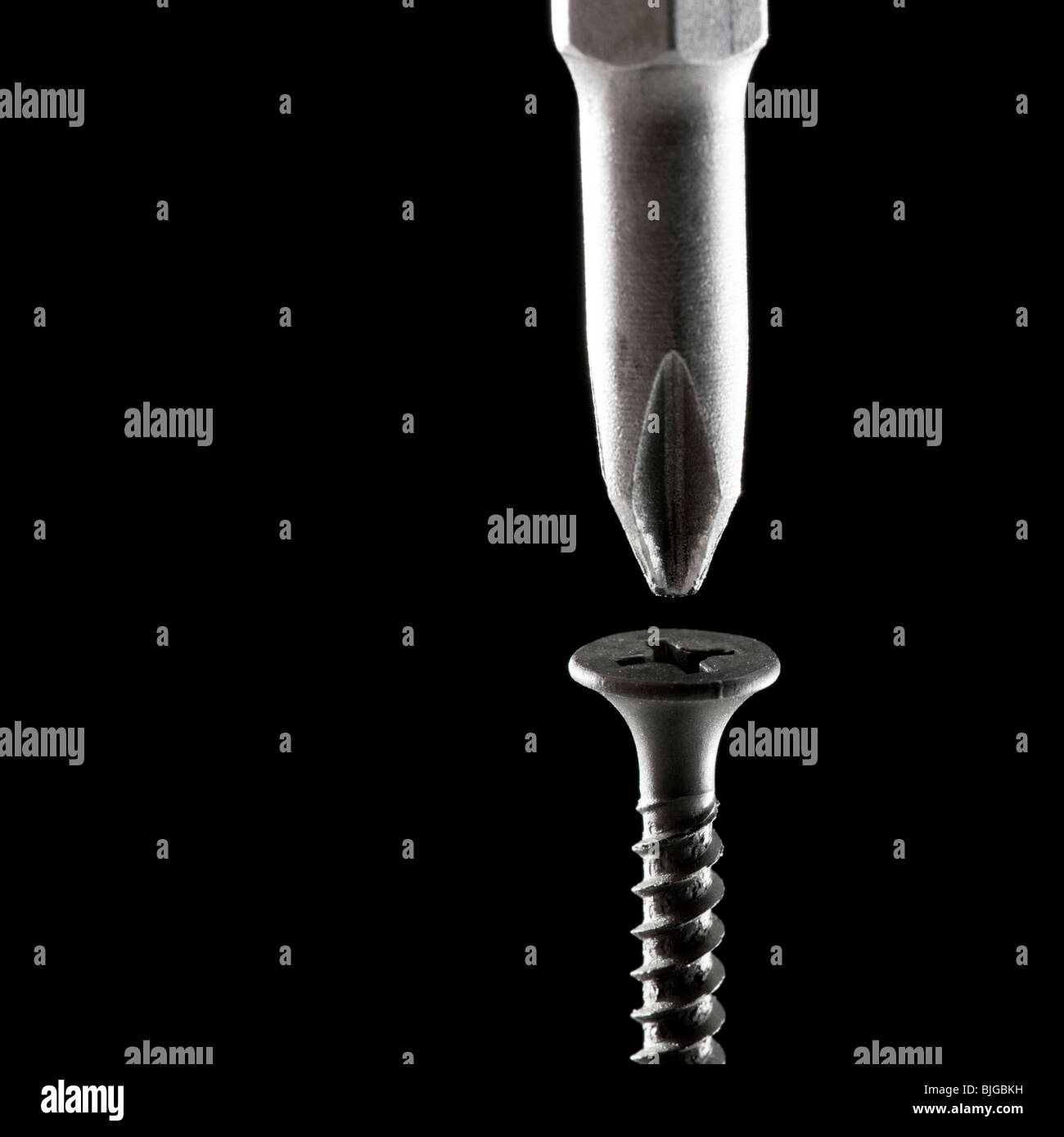 screwdriver about to screw in a wood screw Stock Photo