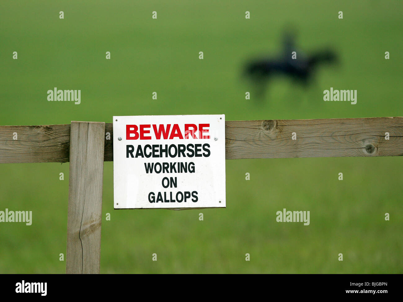 Beware Racehorses working on gallops sign, Newmarket, Great Britain Stock Photo