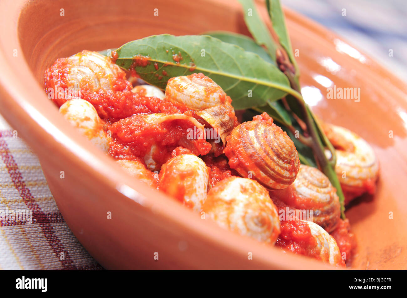Home made italian cuisine, a dish of snails served in a farm holidays Stock Photo