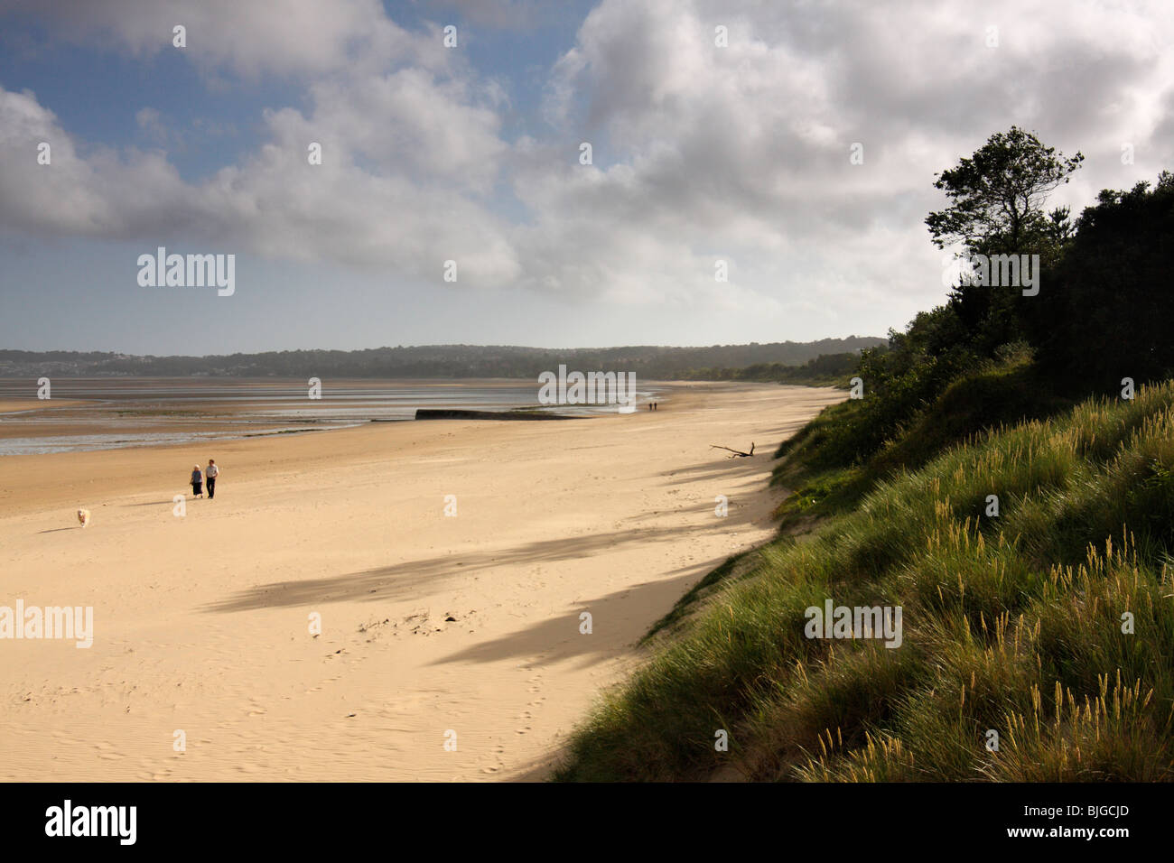 Looking west along Swansea Beach on a summer's day with a blue sky and white clouds, West Glamorgan, south Wales, U.K. Stock Photo