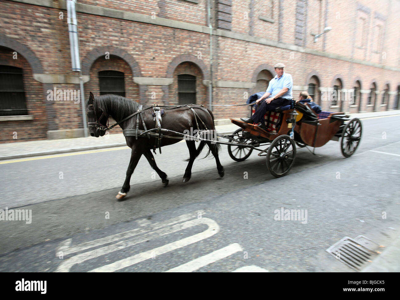 Horse carriage in a street, Dublin, Ireland Stock Photo