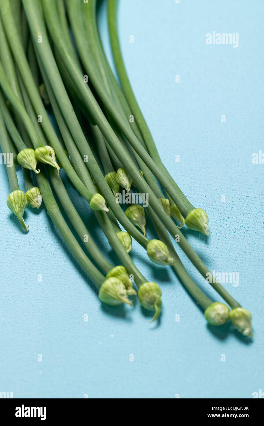 Garlic chives Stock Photo Alamy