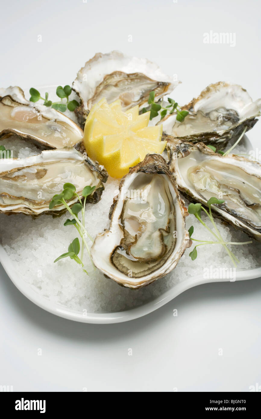 Fresh oysters with lemon on crushed ice - Stock Photo