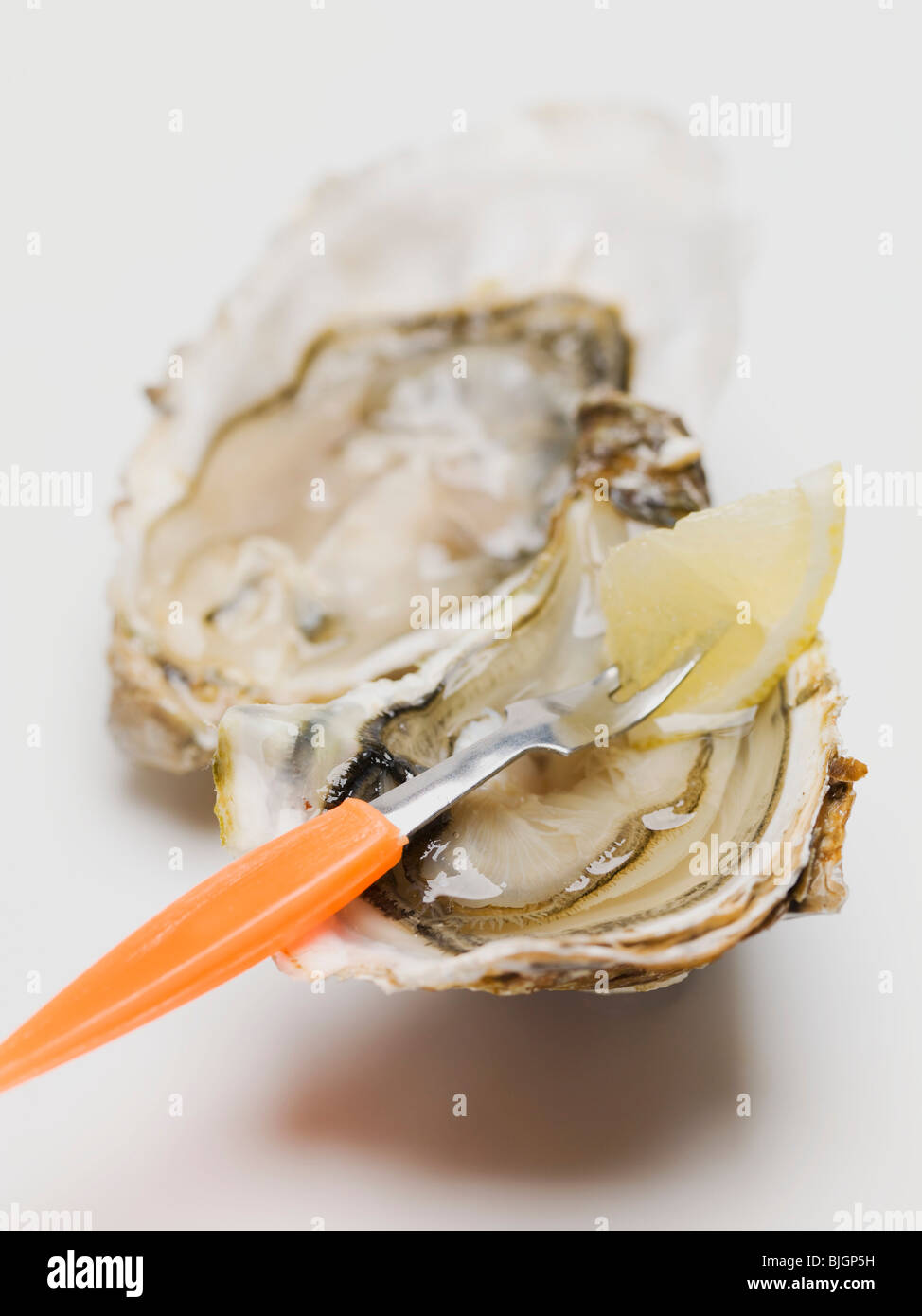 Fresh oyster with fork and lemon Stock Photo Alamy