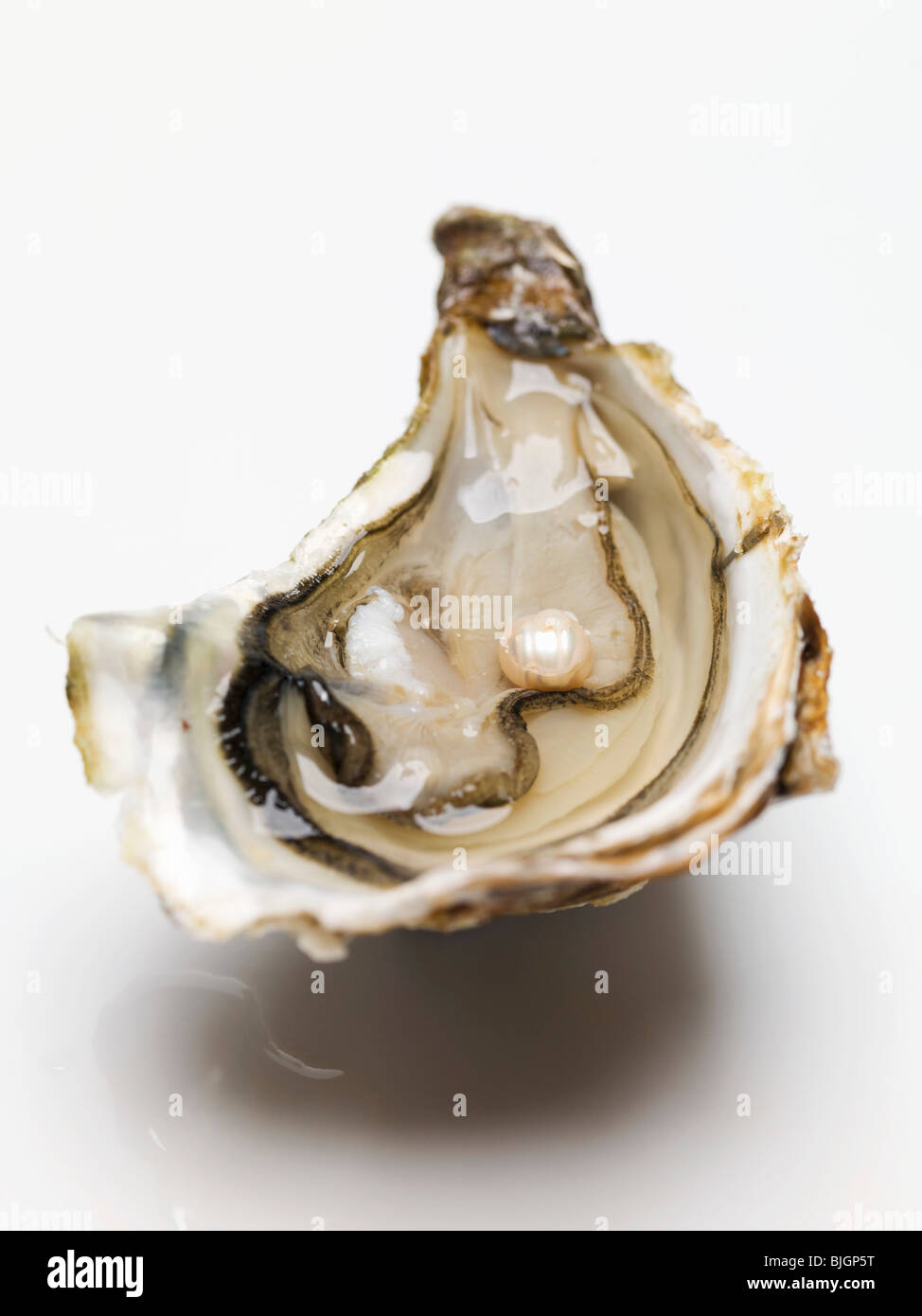 Half an oyster with pearl - Stock Photo
