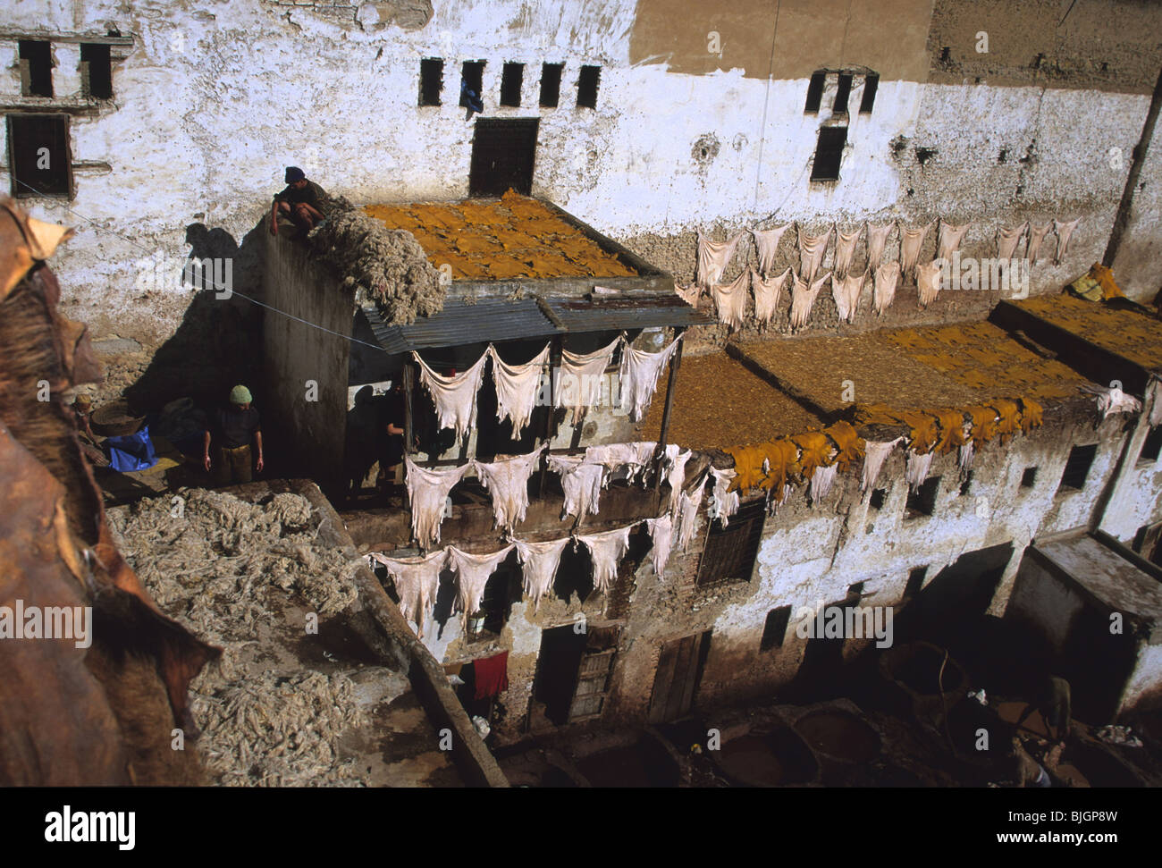Animal skins attached to clothes line on a on roof top, drying in the sun, Morocco. Stock Photo