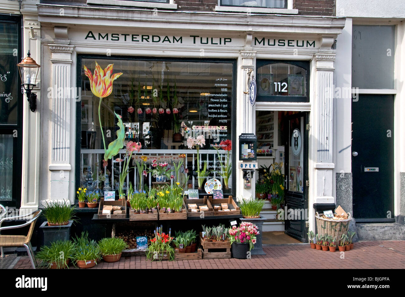 Amsterdam Tulip Museum Flower shop Jordaan  The Netherlands Stock Photo