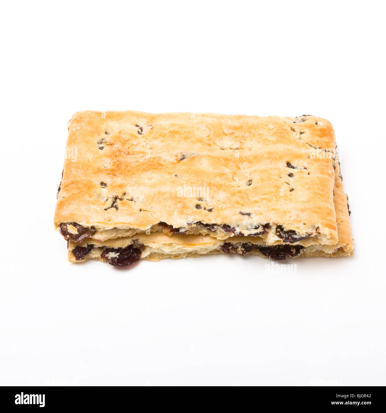 Garibaldi Biscuit from low perspective isolated against white bacground. Stock Photo