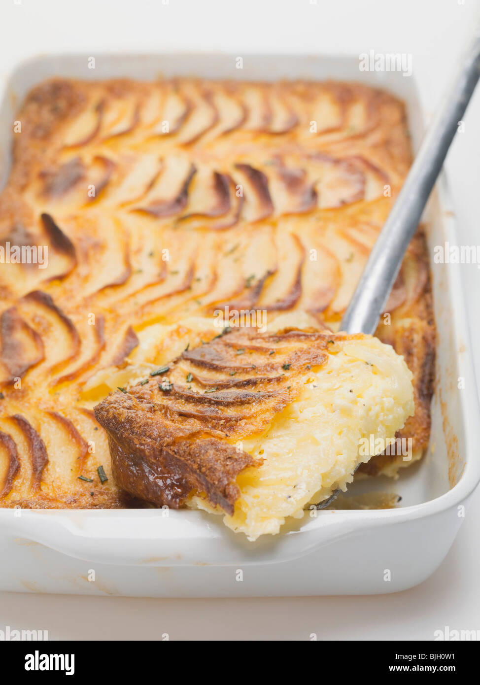 Potato gratin in baking dish with piece on server Stock Photo Alamy