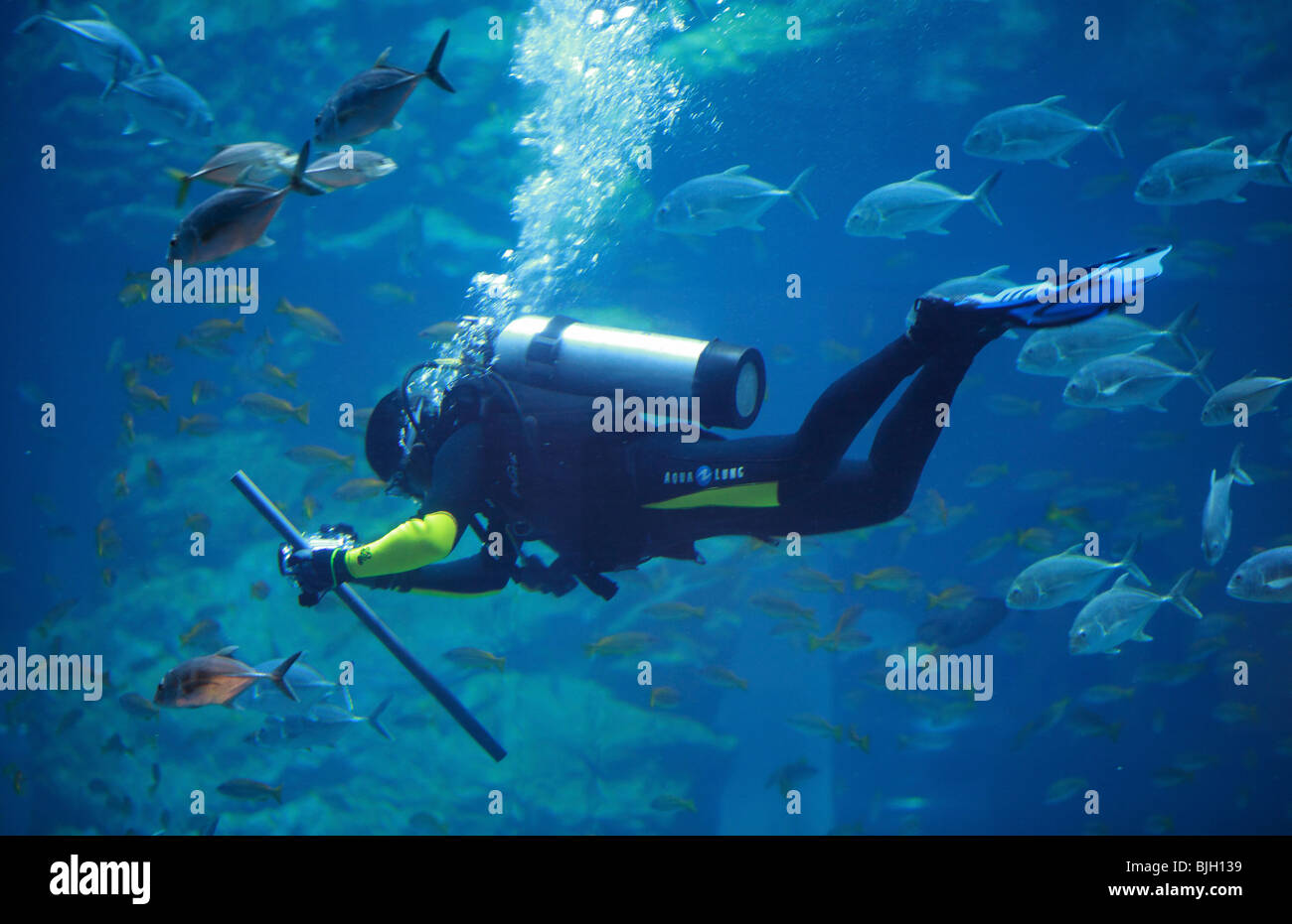 Diving Suit Underwater