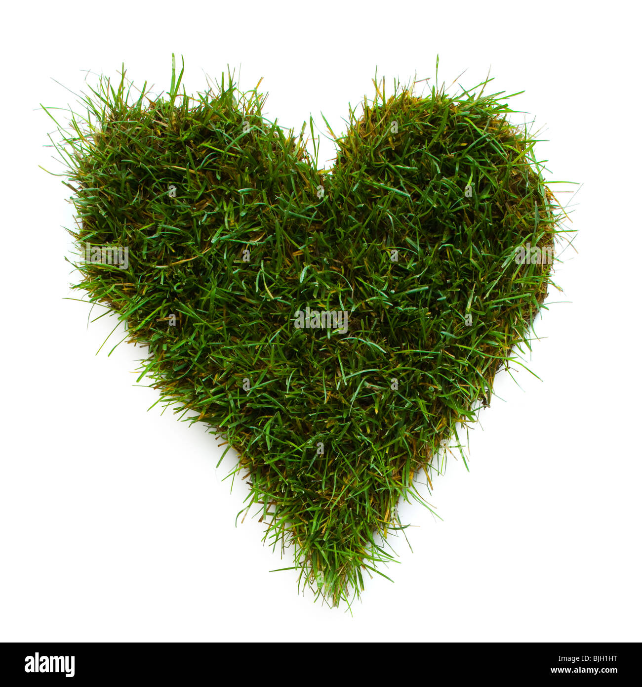 heart shape made of grass Stock Photo