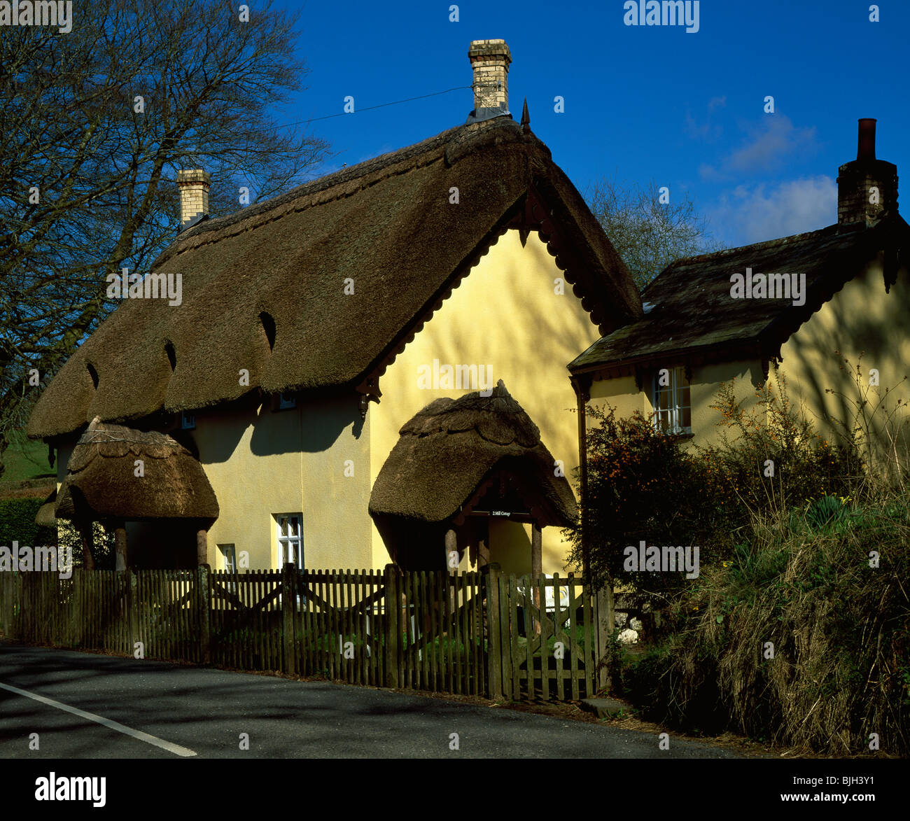 Thatched Cottage at Arlington, Devon, U.K Stock Photo Alamy