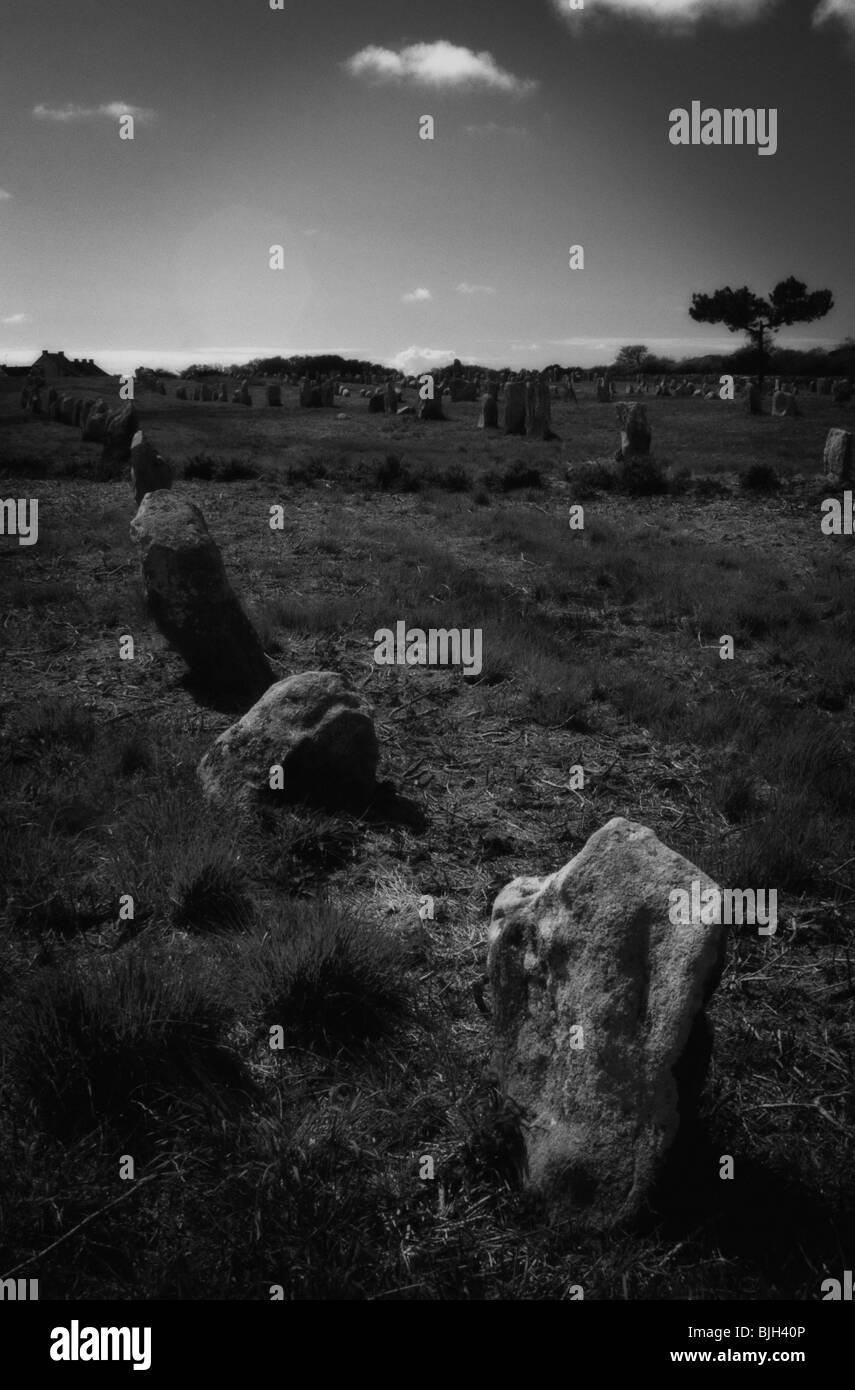 Standing stones. Kermario Neolithic alignments. Carnac Stones. Morbihan, Brittany. France Stock Photo