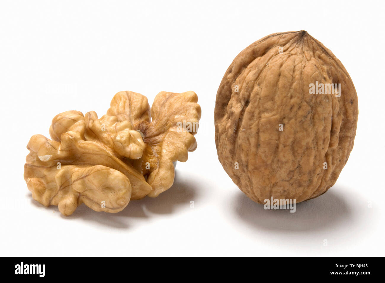 One shelled and one unshelled walnut - Stock Photo