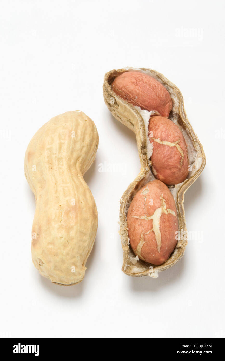 Unshelled peanut and peanuts in opened shell Stock Photo Alamy