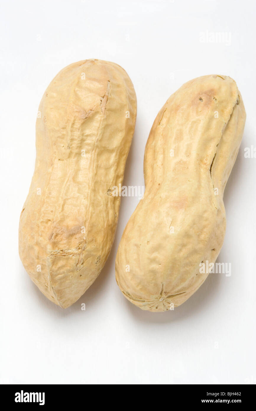 Two unshelled peanuts - Stock Photo
