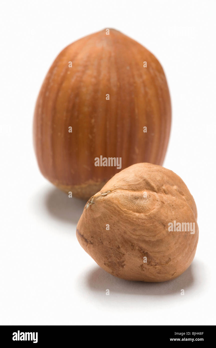 Unshelled and shelled hazelnuts - Stock Photo