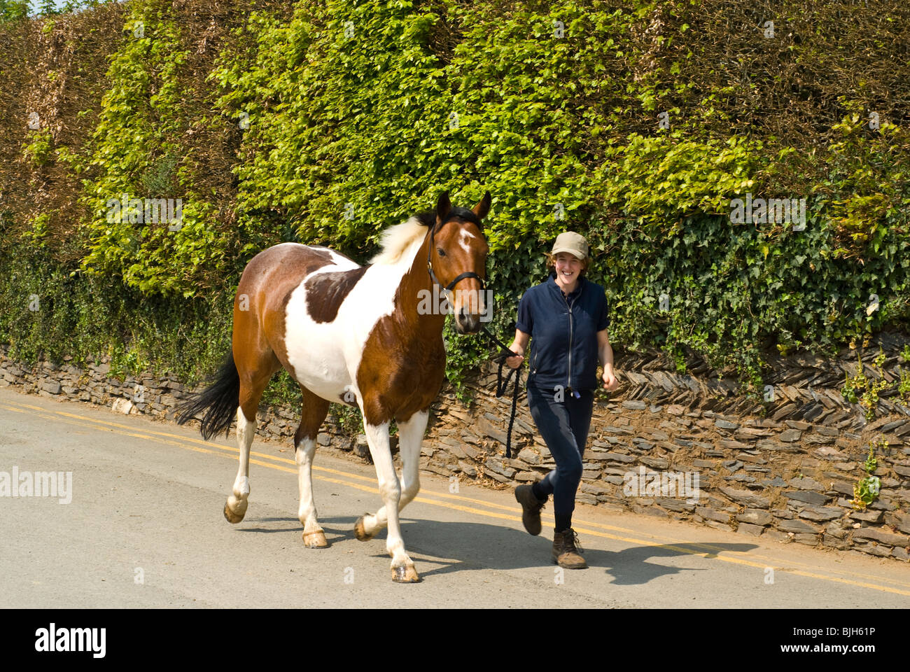 Girl walking with horse on reins Stock Photo Alamy