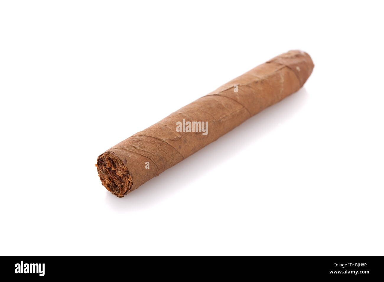 Big cigar isolated on a white background Stock Photo