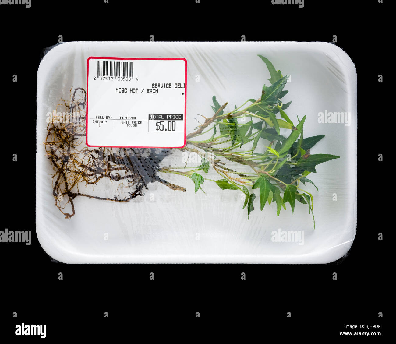 uprooted plant in supermarket packaging Stock Photo