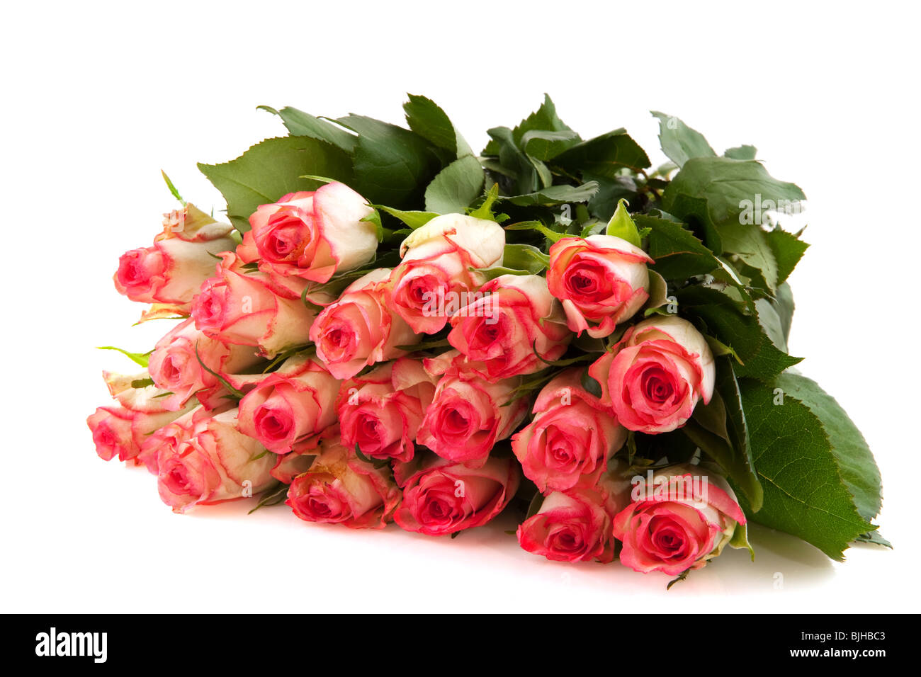 Bouquet pink roses isolated on white background Stock Photo - Alamy