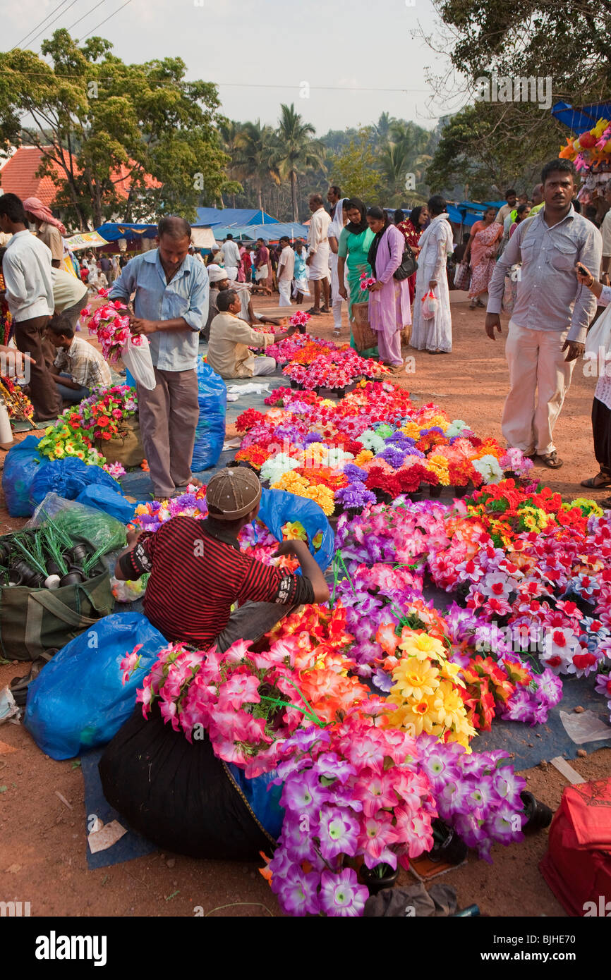 Kerala flowers hires stock photography and images Alamy