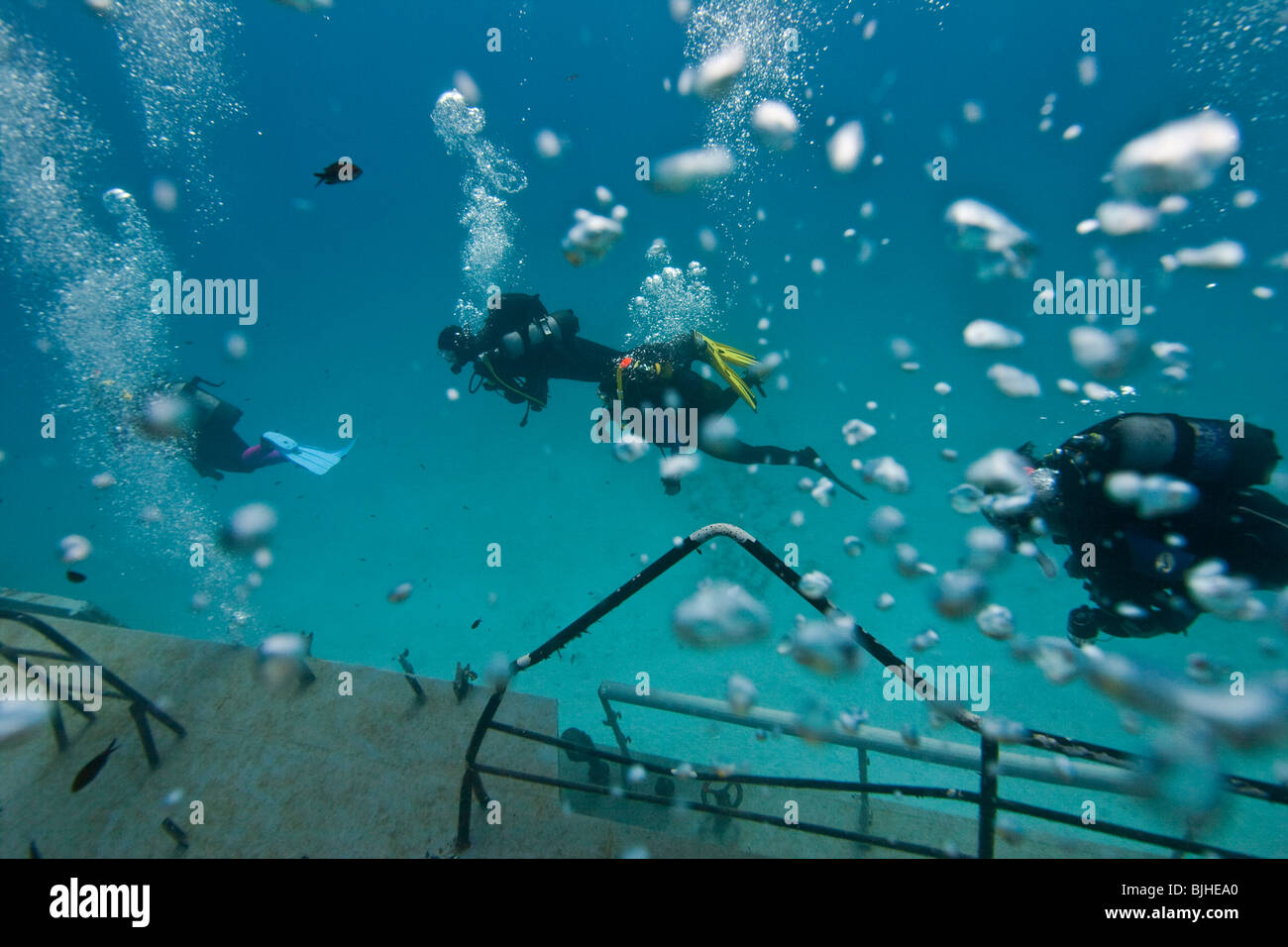 Deep sea divers ship hi-res stock photography and images - Alamy