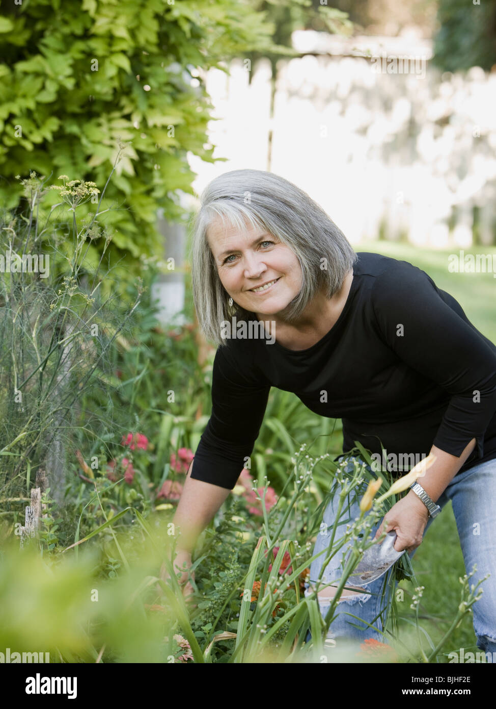 senior woman in the garden Stock Photo - Alamy